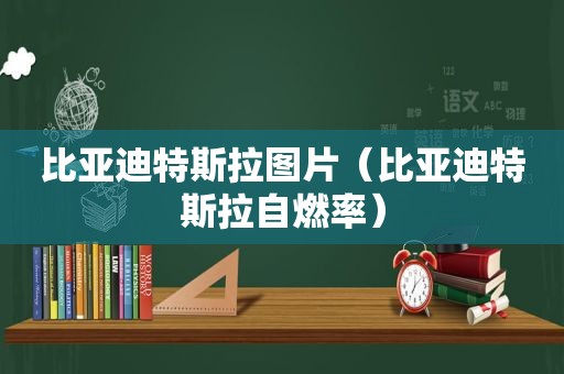 比亚迪特斯拉图片（比亚迪特斯拉自燃率）