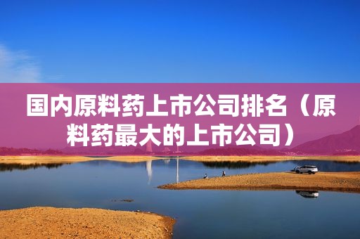国内原料药上市公司排名（原料药最大的上市公司）