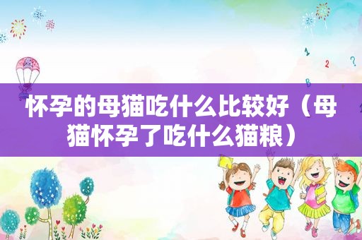 怀孕的母猫吃什么比较好（母猫怀孕了吃什么猫粮）