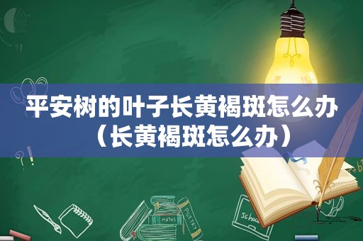 平安树的叶子长黄褐斑怎么办（长黄褐斑怎么办）