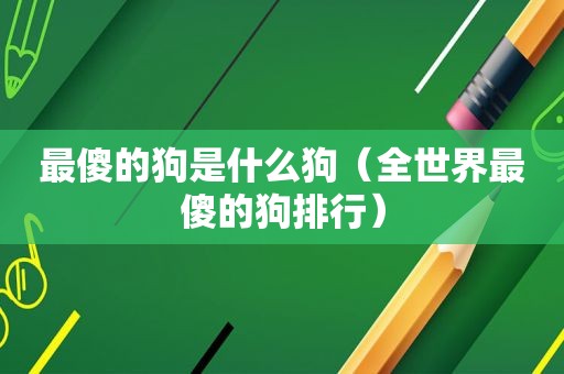 最傻的狗是什么狗（全世界最傻的狗排行）