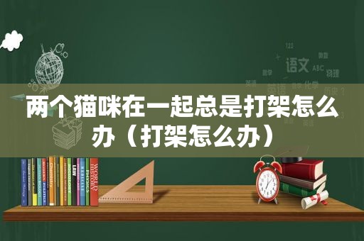 两个猫咪在一起总是打架怎么办（打架怎么办）