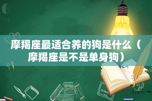 摩羯座最适合养的狗是什么（摩羯座是不是单身狗）