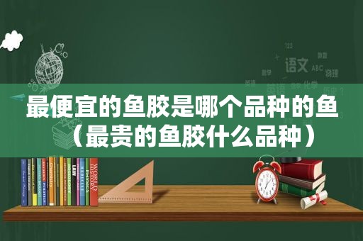 最便宜的鱼胶是哪个品种的鱼（最贵的鱼胶什么品种）