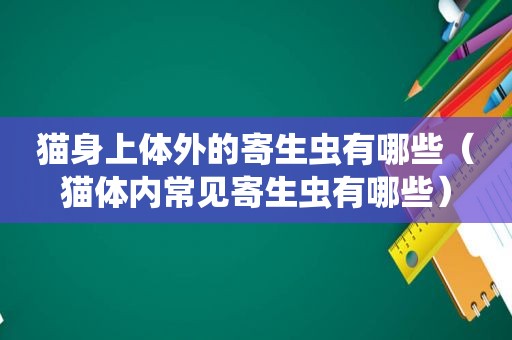 猫身上体外的寄生虫有哪些（猫体内常见寄生虫有哪些）