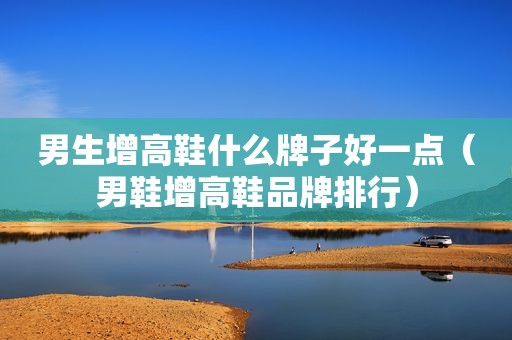 男生增高鞋什么牌子好一点（男鞋增高鞋品牌排行）