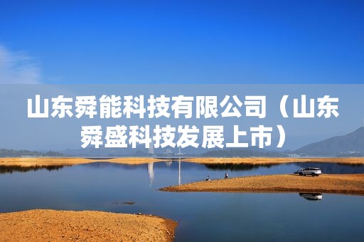 山东舜能科技有限公司（山东舜盛科技发展上市）
