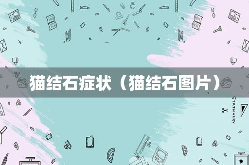 猫结石症状（猫结石图片）