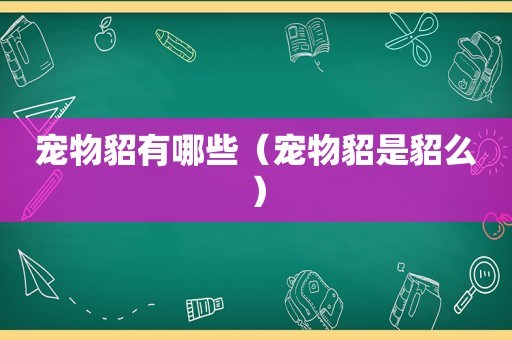 宠物貂有哪些（宠物貂是貂么）