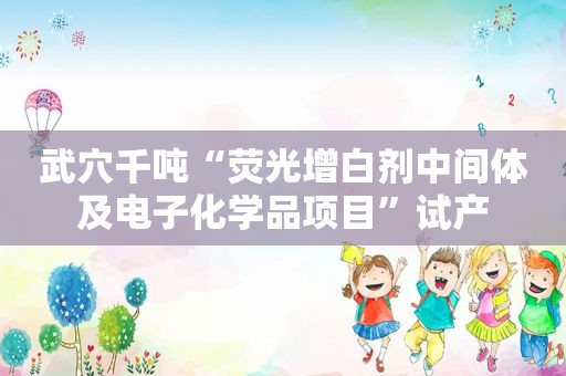 武穴千吨“荧光增白剂中间体及电子化学品项目”试产