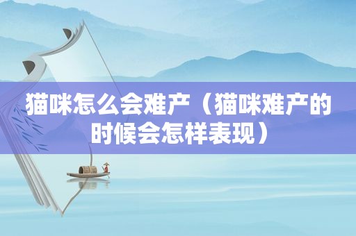 猫咪怎么会难产（猫咪难产的时候会怎样表现）