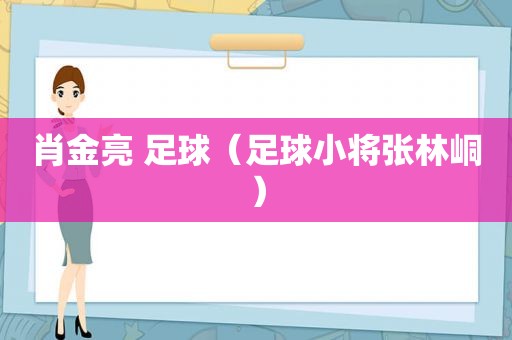 肖金亮 足球（足球小将张林峒）