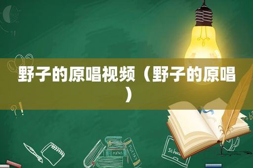 野子的原唱视频（野子的原唱）