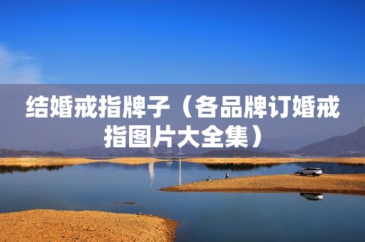 结婚戒指牌子（各品牌订婚戒指图片大全集）