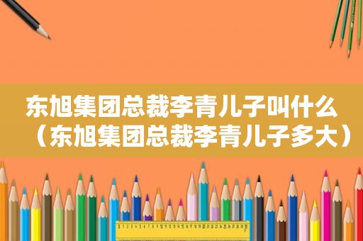 东旭集团总裁李青儿子叫什么（东旭集团总裁李青儿子多大）