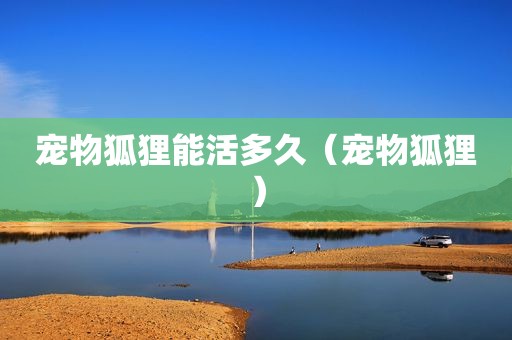 宠物狐狸能活多久（宠物狐狸）