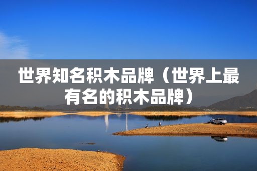 世界知名积木品牌（世界上最有名的积木品牌）
