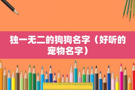 独一无二的狗狗名字（好听的宠物名字）