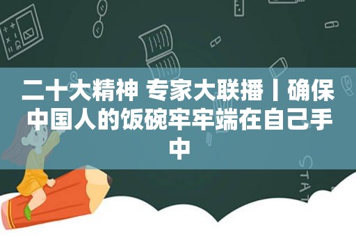 二十大精神 专家大联播丨确保中国人的饭碗牢牢端在自己手中