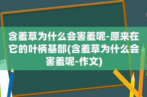 含羞草为什么会害羞呢-原来在它的叶柄基部(含羞草为什么会害羞呢-作文)