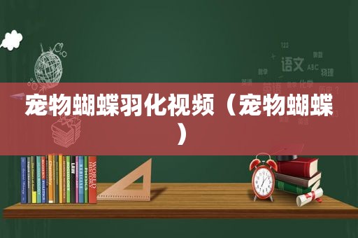 宠物蝴蝶羽化视频（宠物蝴蝶）