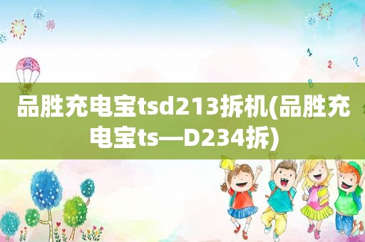 品胜充电宝tsd213拆机(品胜充电宝ts—D234拆)