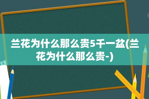 兰花为什么那么贵5千一盆(兰花为什么那么贵-)