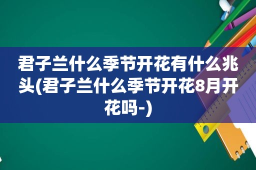 君子兰什么季节开花有什么兆头(君子兰什么季节开花8月开花吗-)