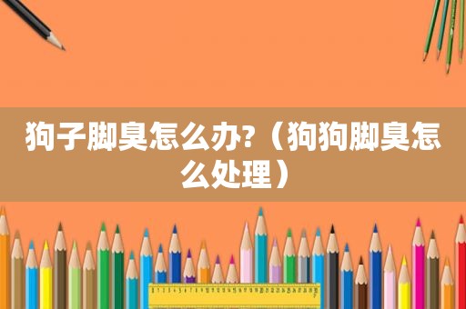 狗子脚臭怎么办?（狗狗脚臭怎么处理）