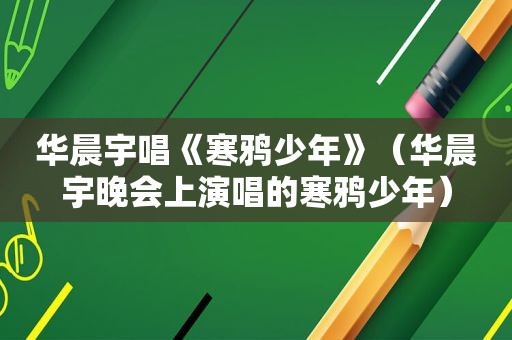 华晨宇唱《寒鸦少年》（华晨宇晚会上演唱的寒鸦少年）