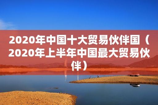 2020年中国十大贸易伙伴国（2020年上半年中国最大贸易伙伴）