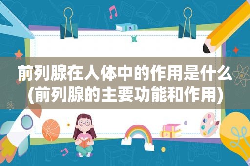 前列腺在人体中的作用是什么(前列腺的主要功能和作用)