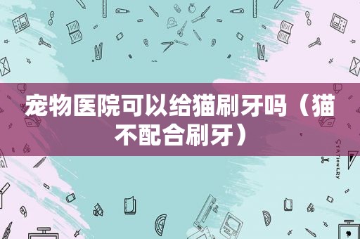 宠物医院可以给猫刷牙吗（猫不配合刷牙）