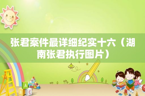张君案件最详细纪实十六（湖南张君执行图片）