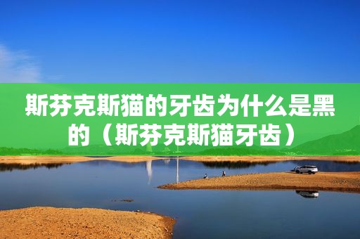 斯芬克斯猫的牙齿为什么是黑的（斯芬克斯猫牙齿）