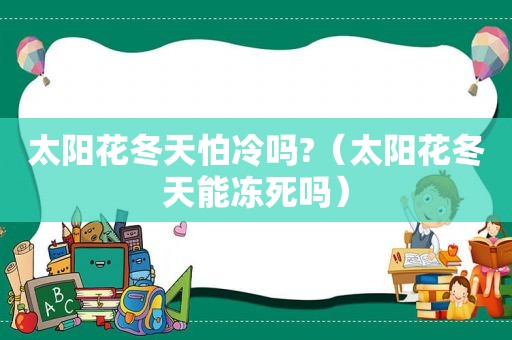 太阳花冬天怕冷吗?（太阳花冬天能冻死吗）
