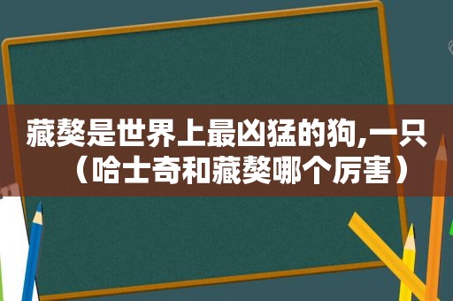 藏獒是世界上最凶猛的狗,一只（哈士奇和藏獒哪个厉害）