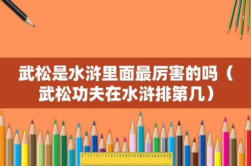 武松是水浒里面最厉害的吗（武松功夫在水浒排第几）