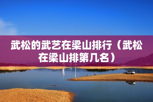 武松的武艺在梁山排行（武松在梁山排第几名）