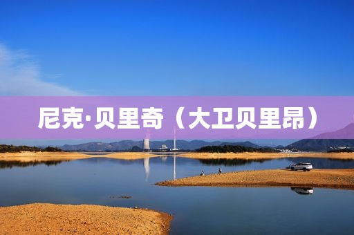 尼克·贝里奇（大卫贝里昂）