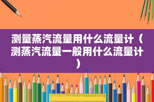 测量蒸汽流量用什么流量计（测蒸汽流量一般用什么流量计）