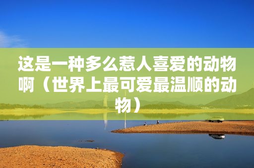 这是一种多么惹人喜爱的动物啊（世界上最可爱最温顺的动物）