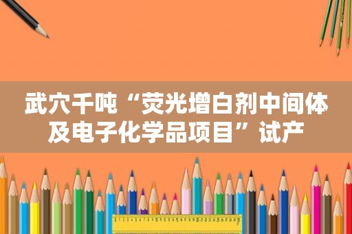 武穴千吨“荧光增白剂中间体及电子化学品项目”试产