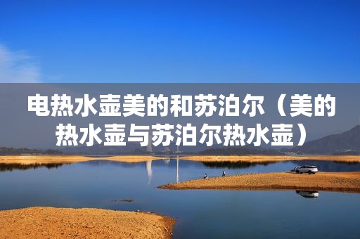 电热水壶美的和苏泊尔（美的热水壶与苏泊尔热水壶）