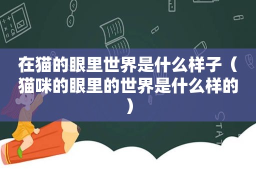在猫的眼里世界是什么样子（猫咪的眼里的世界是什么样的）