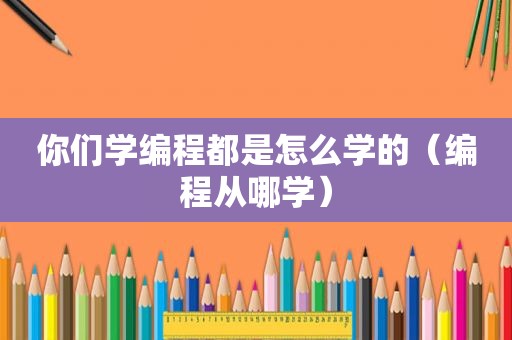 你们学编程都是怎么学的（编程从哪学）
