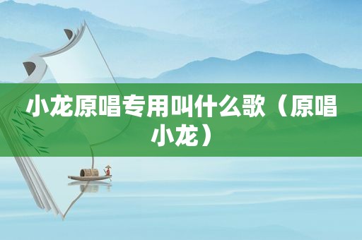 小龙原唱专用叫什么歌（原唱小龙）
