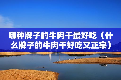 哪种牌子的牛肉干最好吃（什么牌子的牛肉干好吃又正宗）