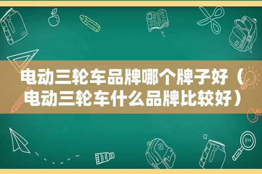 电动三轮车品牌哪个牌子好（电动三轮车什么品牌比较好）