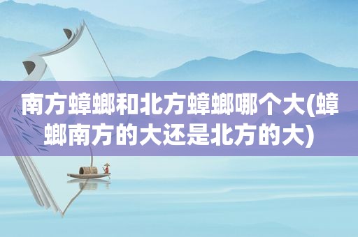 南方蟑螂和北方蟑螂哪个大(蟑螂南方的大还是北方的大)